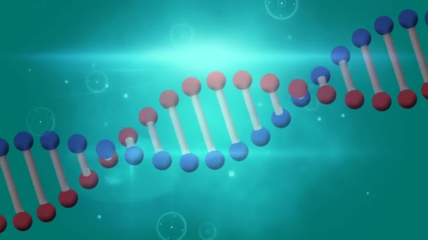 Animering Dna Strängen Snurrar Över Nätverk Anslutningar Globalt Vetenskaps Medicin — Stockvideo