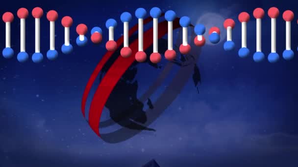 Animación Hebra Adn Girando Con Globo Red Conexiones Ciencia Global — Vídeos de Stock