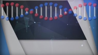 Bağlantı ağıyla dönen DNA ipliklerinin animasyonu. küresel bilim, tıp, ağlar, teknoloji ve bağlantılar konsepti dijital olarak oluşturulmuş video.