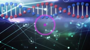 Genetik tarama ve bağlantı ağı ile dönen DNA iplikçiklerinin animasyonu. küresel bilim, ağlar, teknoloji ve bağlantılar konsepti dijital olarak oluşturulmuş video.