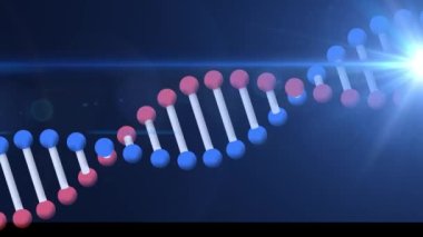 Mavi arka planda parlayan ışıkla dönen DNA ipliğinin animasyonu. küresel bilim ve araştırma konsepti dijital olarak oluşturulmuş video.