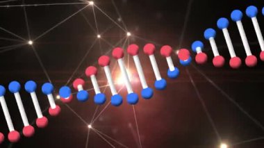 Veri işleme ve bağlantı ağıyla dönen DNA iplikçiklerinin animasyonu. küresel bilim, ağlar, teknoloji ve bağlantılar konsepti dijital olarak oluşturulmuş video.
