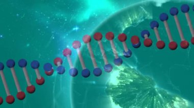 DNA iplikçiklerinin dünya üzerinde bağlantı ağı ile birlikte dönmesinin animasyonu. küresel bilim, tıp, teknoloji ve ağ konsepti dijital olarak oluşturulmuş video.