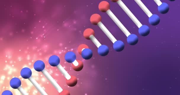 Dna链在宇宙粒子上旋转的动画 全球科学 数据处理 技术和连接概念数字生成的视频 — 图库视频影像