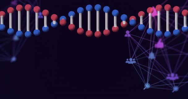 黒の上に接続されたアイコンのネットワークを持つ回転3D Dna鎖のアニメーション グローバル医療科学研究技術デジタルデータ通信概念デジタル生成されたビデオ — ストック動画