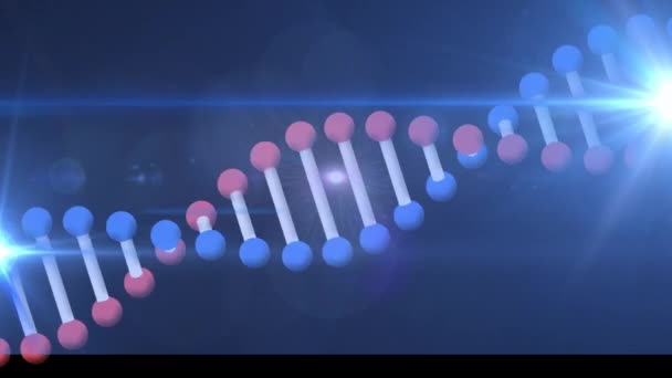 Animation Des Sich Drehenden Dna Strangs Mit Leuchtendem Licht Auf — Stockvideo