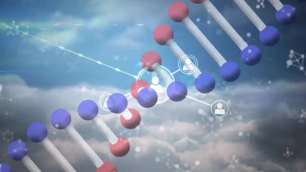 Animación Del Hilo Adn Girando Con Red Conexiones Ciencia Global — Vídeo de stock