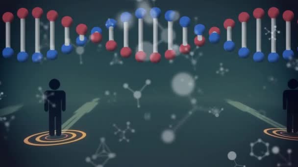 Анімація Ланцюга Dna Обертається Піктограмами Людей Мережею Єднань Глобальна Наука — стокове відео