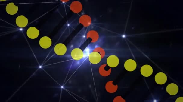 Animación Del Hilo Adn Girando Con Red Conexiones Ciencia Global — Vídeo de stock