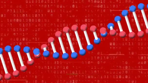 Animation Dna Strand Spinning Glitch Binary Coding Data Processing Global — Stock Video