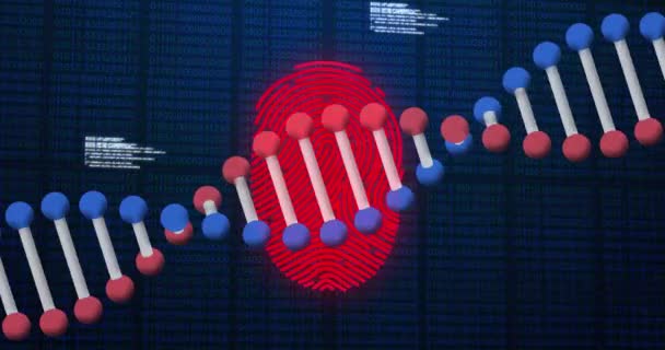 Animação Digitalização Impressões Digitais Com Fio Dna Processamento Dados Pesquisa — Vídeo de Stock