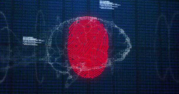 Animation Network Connections Biometric Fingerprint Human Brain Data Processing Global — Stock Video