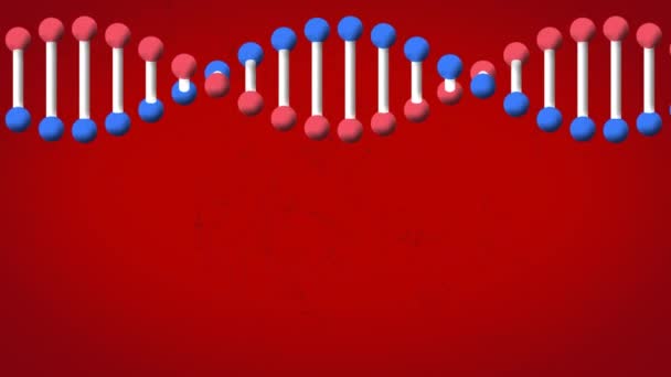 Animazione Del Filamento Del Dna Che Gira Sfondo Rosso Scienza — Video Stock