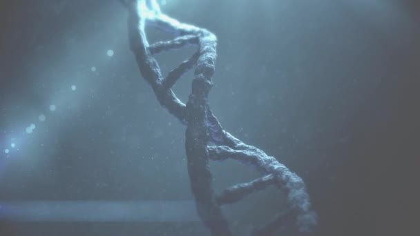 Animatie Van Macro Van Het Spinnen Van Dna Streng Mondiaal — Stockvideo