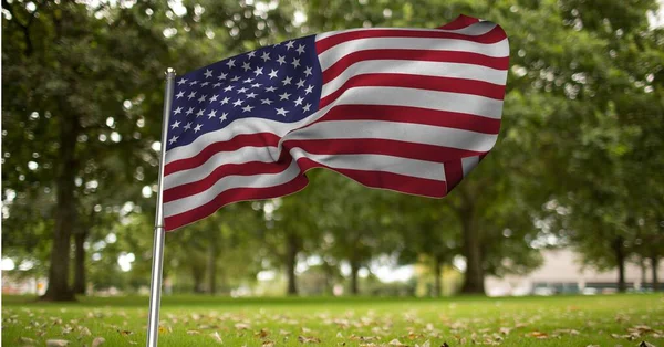 Složení Americké Vlajky Nad Parkem Americký Patriotismus Koncepce Nezávislosti Oslavy — Stock fotografie