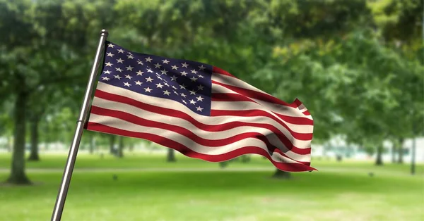 Park Üzerinde Amerikan Bayrağı Kompozisyonu Amerikan Vatanseverliği Bağımsızlık Dijital Olarak — Stok fotoğraf