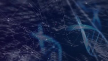 DNA iplikçiklerinin dönüşünün animasyonu, ikili kodlama üzerindeki bağlantı ağları. küresel internet güvenliği, teknoloji, bağlantılar ve dijital arayüz konsepti dijital olarak oluşturulmuş video.