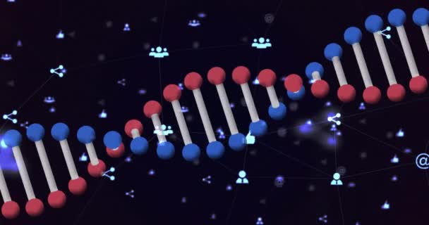 Animación Hebra Adn Girando Iconos Digitales Ciencia Global Conexiones Investigación — Vídeos de Stock