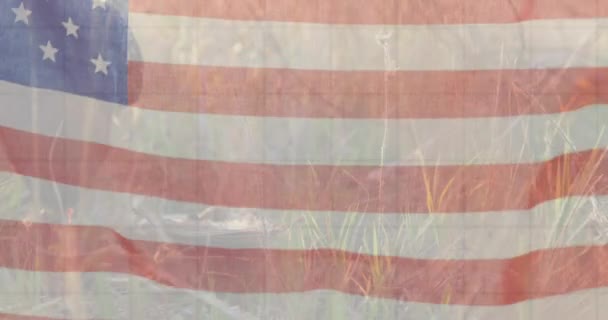 ワシやデータ処理の上に渦巻くヴィンテージアメリカ国旗のアニメーション 愛国心独立財政コミュニケーションの概念デジタルで生成されたビデオ — ストック動画