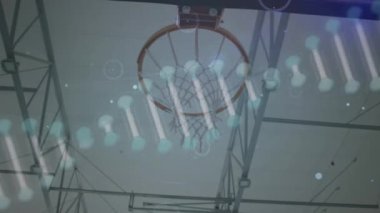DNA iplikçiklerinin animasyonu, basketbol potası üzerindeki bağlantılar ağı. küresel spor, rekabet, dijital arayüz, teknoloji ve ağ konsepti dijital olarak oluşturulmuş video.