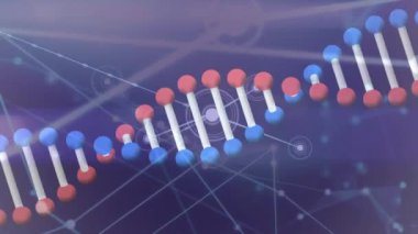 Parlak bağlantı ağının üzerinde dönen 3D DNA iplikçiklerinin animasyonu. küresel tıbbi araştırma teknolojisi, dijital veri ve iletişim konsepti, dijital olarak oluşturulmuş video.