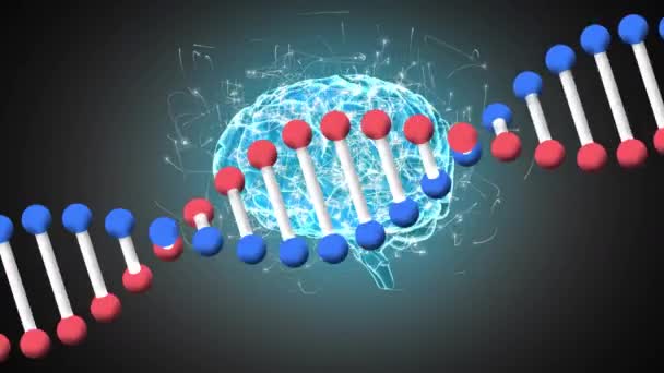 Digital Animation Dna Structire Spinning Human Brain Spinning Grey Background — Stock Video