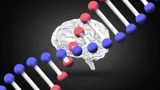 Digital Animation Dna Structure Spinning Human Brain Spinning Black Background — Stock Video