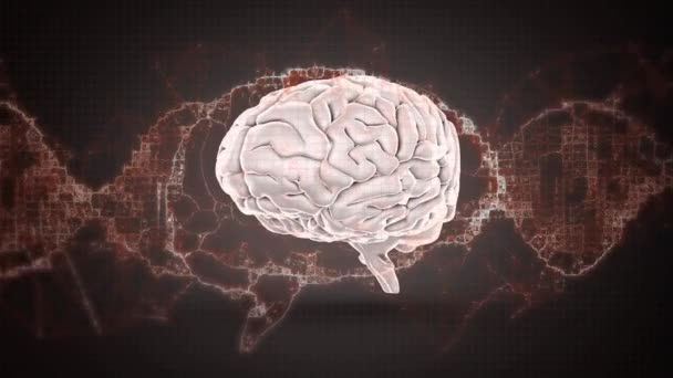 Цифровая Анимация Цифровых Волн Против Человеческого Мозга Вращающегося Черном Фоне — стоковое видео