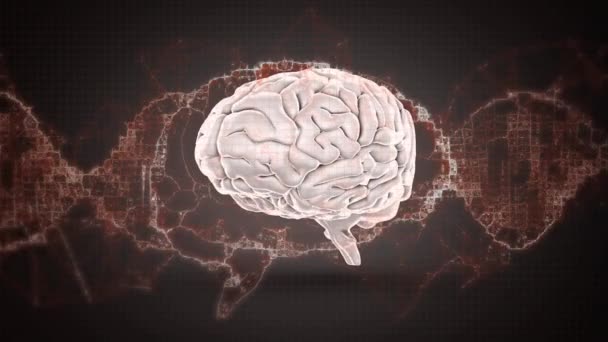 Animation Numérique Ondes Numériques Contre Cerveau Humain Filant Sur Fond — Video