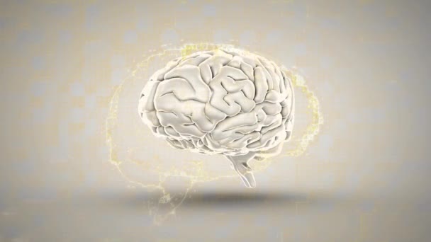 Animación Digital Red Conexiones Sobre Cerebro Humano Girando Sobre Fondo — Vídeos de Stock