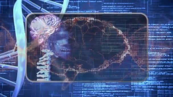 データ処理に対するデジタルタブレット上のDna構造と人間の脳のデジタルアニメーション 医学研究科学技術の概念は — ストック動画