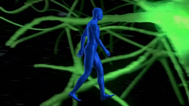 人間の体モデルのデジタルアニメーションは 神経細胞を通過する信号に対して歩く 医学研究科学技術の概念は — ストック動画