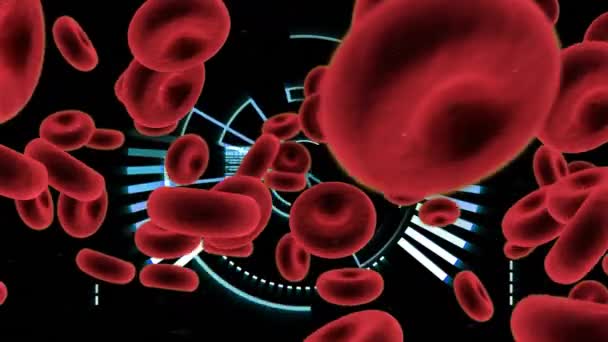 黒の背景に丸型スキャナーとデータ処理に対する血管のデジタルアニメーション 医学研究科学技術の概念は — ストック動画