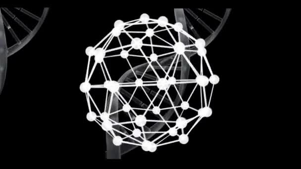 Animatie Van Een Spinnende Dna Streng Met Bol Zwarte Achtergrond — Stockvideo