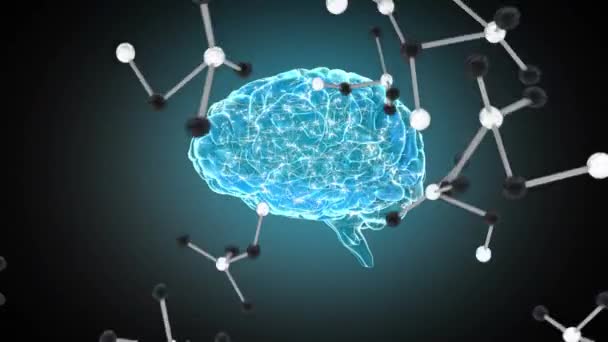 Animación Digital Estructuras Moleculares Contra Cerebro Humano Girando Sobre Fondo — Vídeos de Stock