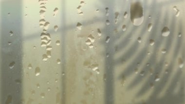 Çiçek desenli su damlaları ve bej arka planda kopyalama alanı animasyonu. Doğa ve sürdürülebilirlik kavramı dijital olarak oluşturulmuş video.