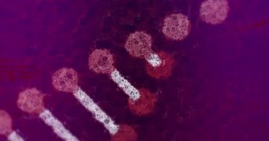 Bilgisayar arayüzünde dönen DNA iplikçiklerinin animasyonu, koyu arkaplanda turuncu parlamalar. küresel tıbbi araştırma ve dijital arayüz kavramı, dijital olarak oluşturulmuş video.