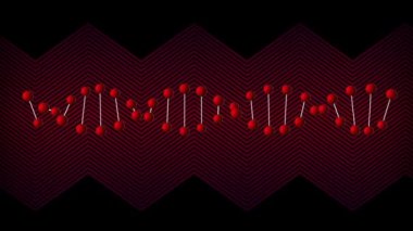 Animation of red dna strand spinning with red lines. global science, digital interface and technology concept digitally generated video.