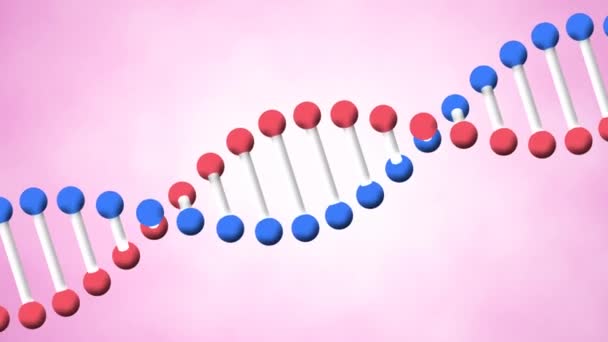 Animazione Del Filamento Del Dna Che Ruota Sfondo Rosa Ricerca — Video Stock