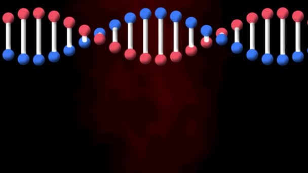 Animation Dna Strand Spinning Black Red Background Science Research Concept — Stok video