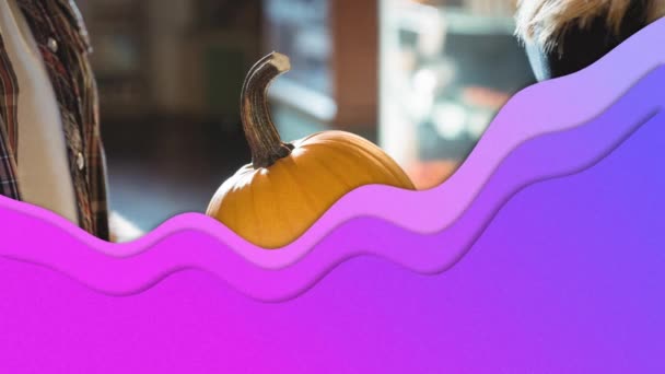 Animation Purple Waves Couple Holding Pumpkin Halloween Autumn Celebration Tradition — Stock Video