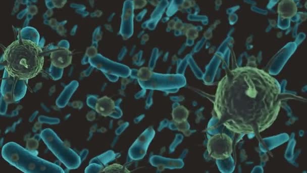 Animación Covid Células Bacterianas Flotando Global Covid Concepto Pandémico Vídeo — Vídeos de Stock
