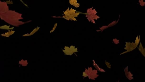 Animation Autumn Leaves Falling Black Background Halloween Autumn Celebration Tradition — Stock Video