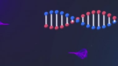 Mor ışık yollu DNA iplikçiklerinin animasyonu. küresel bilim, dijital arayüz, teknoloji ve ağ konsepti dijital olarak oluşturulmuş video.