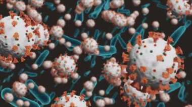 Siyah zemin üzerinde hareket eden makro covid 19 virüsü ve kan hücrelerinin animasyonu. Koronavirüs covid 19 salgını sırasında küresel sağlık hizmeti acil durumu, dijital olarak üretilen video.