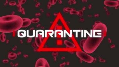Kırmızı tehlike üçgeniyle karantinaya alınmış kırmızı kan hücreleri üzerinde siyaha boyanmış metin animasyonu. Koronavirüs covid 19 salgını sırasında küresel sağlık hizmeti acil durumu, dijital olarak üretilen video.