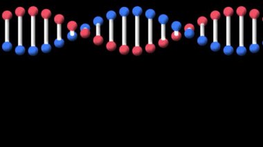 Siyah arka planda dönen DNA iplikçiklerinin canlandırması. Tıbbi araştırma teknolojisi, genetik ve refah konsepti, dijital olarak üretilen video.