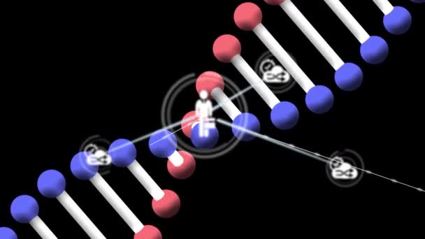 在黑色背景上的Dna链纺丝上与图标连接的网络动画 全球数字接口 技术和网络概念 — 图库视频影像