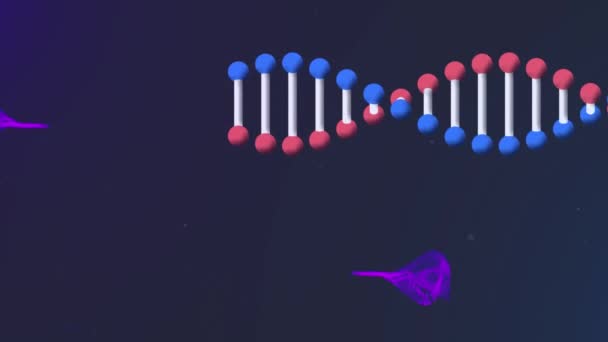 Animation Des Dna Strandes Mit Violetten Lichtspuren Globale Wissenschaft Digitale — Stockvideo