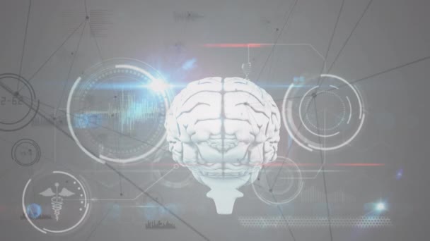 Анимация Сети Связей Человеческим Мозгом Обработка Медицинских Данных Глобальный Бизнес — стоковое видео